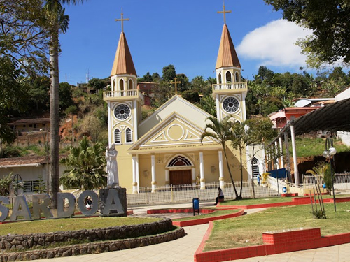 Sistema de Vagas para CDL de Sardoá MG