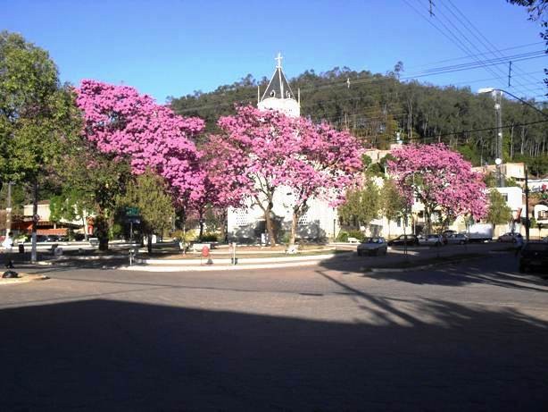 Solução de Currículos para ACE CDL de Ipanema MG